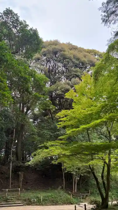 浄瑠璃寺(京都府)