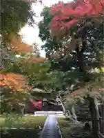 長壽寺(長寿寺)の自然