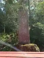 神山神社のその他建物