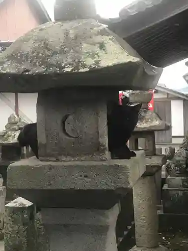 北野神社の動物