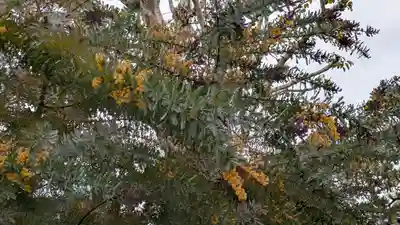 大松禅寺(京都府)