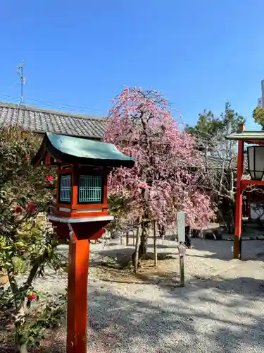 源九郎稲荷神社のその他建物