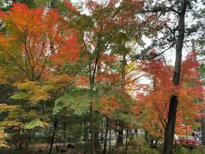 鶴岡八幡宮の自然