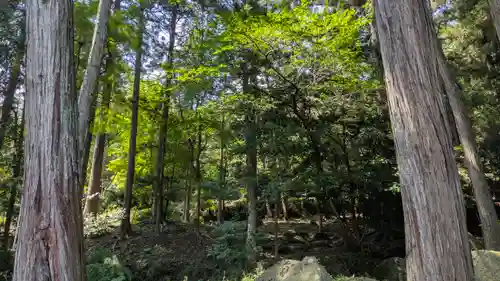 龍潭寺(京都府)