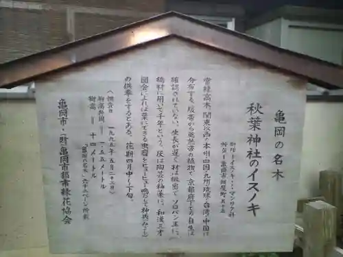 秋葉神社（元秋葉神社）の歴史