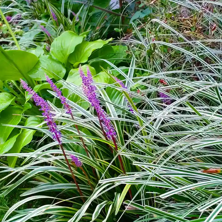 寿量山 速成寺の自然