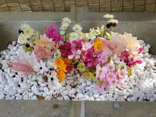 日吉神社の手水舎