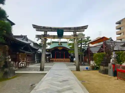 京都ゑびす神社の鳥居