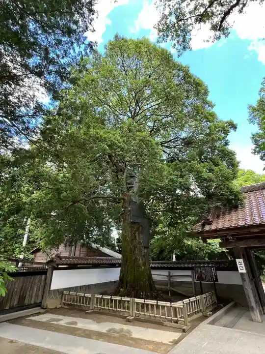 医王寺(福島県)