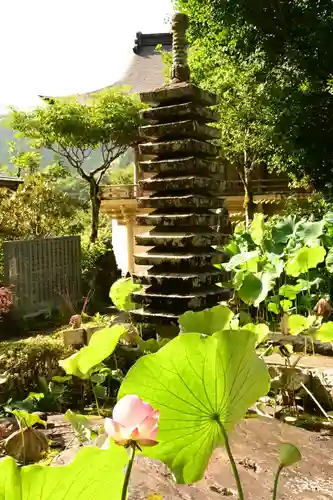 定福寺(高知県)