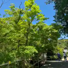 円覚寺(神奈川県)