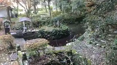清水寺の自然