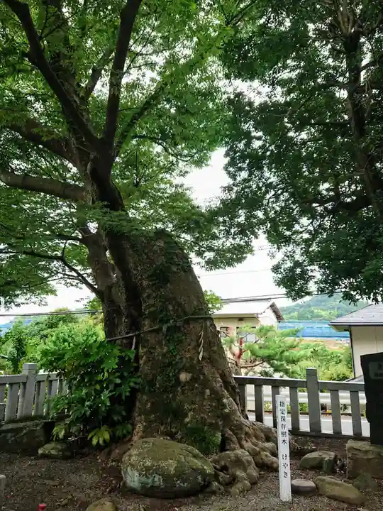 比比多神社(子易明神)の自然
