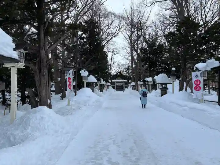 新琴似神社の初詣