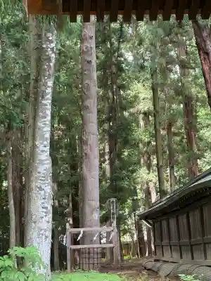 諏訪大社下社秋宮(長野県)