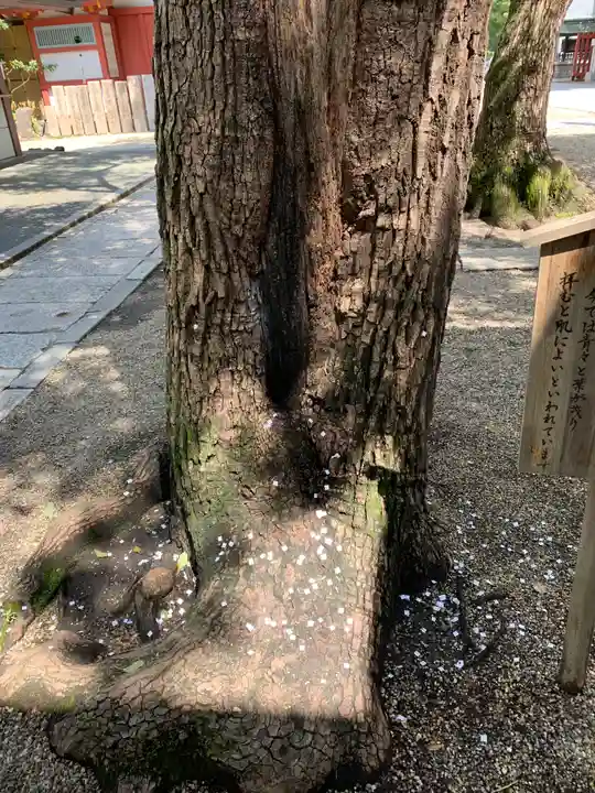 御霊神社(大阪府)