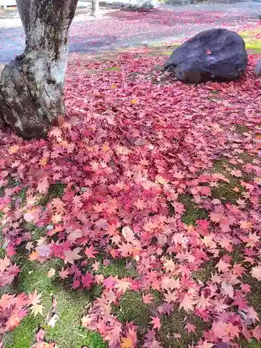鷹栖神社の庭園