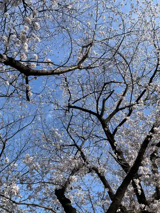 西出鎮守稲荷神社(兵庫県)