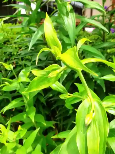 本郷氷川神社(東京都)