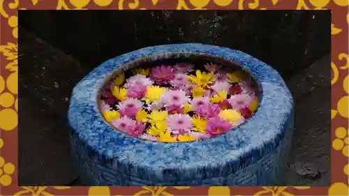 観音寺(東京都)