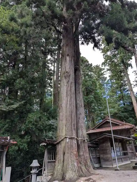 伊和神社(兵庫県)