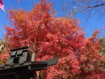 山賊魂稲成神社(山口県)