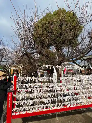 山田天満宮のおみくじ