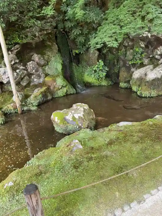 慈照寺(慈照禅寺・銀閣寺)(京都府)