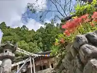 【公式】龍門院常楽寺(秩父札所十一番)の地蔵