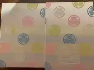 上野東照宮の御朱印帳