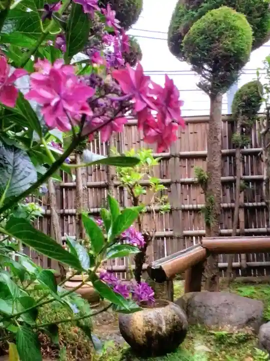 宝祥寺(東京都)