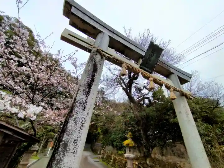 玉作湯神社(島根県)