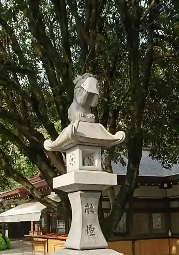 出水神社の狛犬