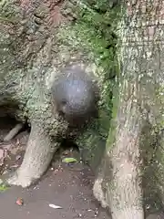 江田神社(宮崎県)