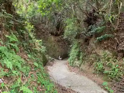 大山祇神社の周辺