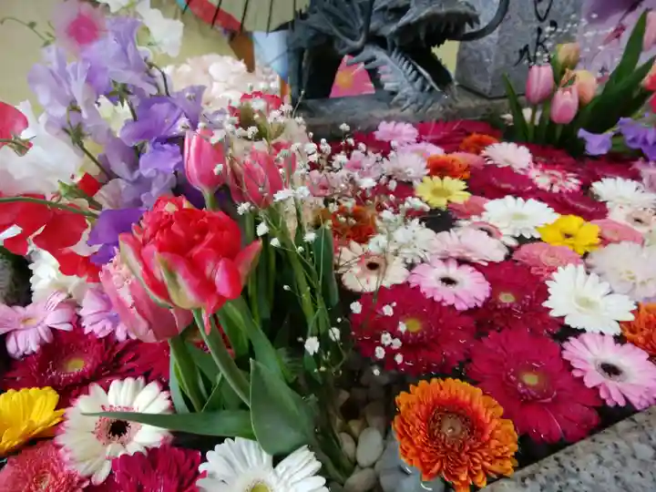 札幌諏訪神社の手水舎