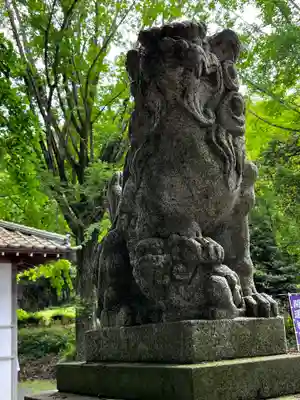 糀谷八幡宮の狛犬