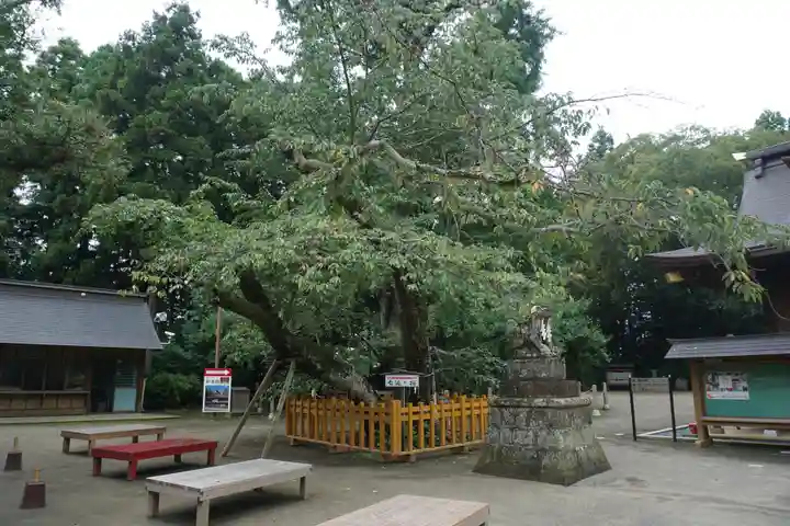 水戸八幡宮のその他建物