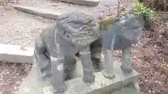 近戸神社の狛犬