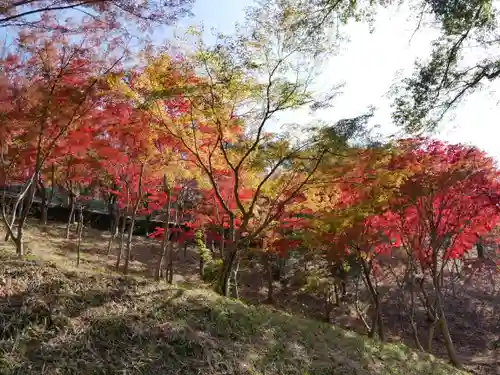 足利織姫神社の景色