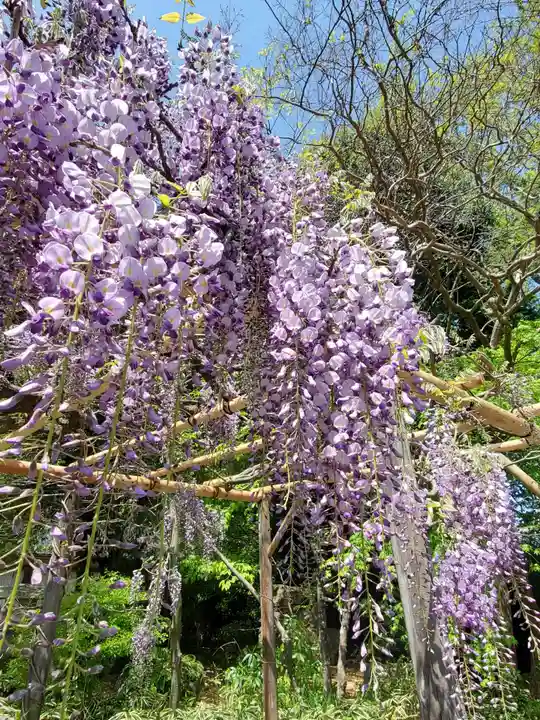 神炊館神社 ⁂奥州須賀川総鎮守⁂(福島県)