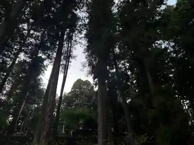 大宮温泉神社(栃木県)