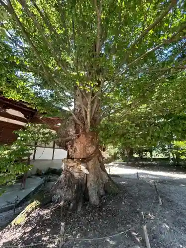 賀羅加波神社(広島県)