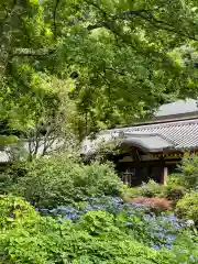 久安寺(大阪府)