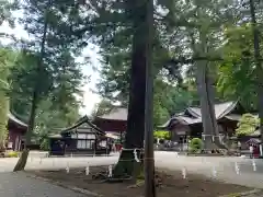 北口本宮冨士浅間神社の自然