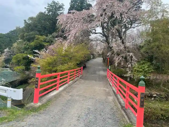 正法寺の{uncategorized: "未分類", other: "その他", undefined: "問題あり", building: "その他建物", grave: "お墓", sacred_gate: "鳥居", guardian: "狛犬", statue: "像", buddha: "仏像", history: "歴史", nature: "自然", garden: "庭園", animal: "動物", pagoda: "塔", temizu: "手水舎", mountain_gate: "山門・神門", sanctuary: "本殿・本堂", subordinate: "末社・摂社", art: "芸術", scenery: "景色", jizo: "地蔵", ema: "絵馬", goshuin: "御朱印", omikuji: "おみくじ", items: "授与品その他", amulet: "お守り", goshuincho: "御朱印帳", eats: "食事", festival: "お祭り", votive_dance: "神楽", shichigosan: "七五三参", wedding: "結婚式", experience: "体験その他", initially: "初詣", around: "周辺", anti_infection: "感染症対策"}