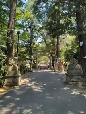 岩槻久伊豆神社(埼玉県)