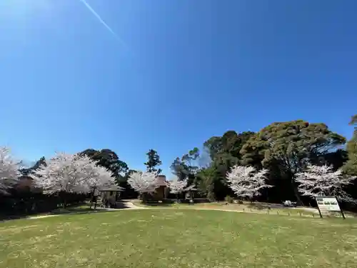 クスの森若宮神社(山口県)