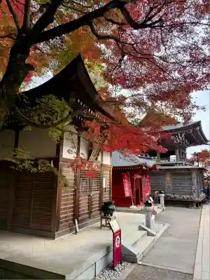 高尾山薬王院(東京都)