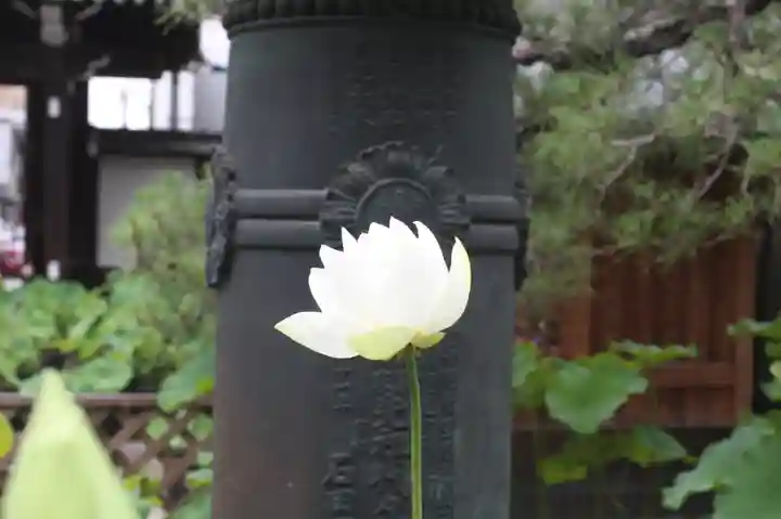 行願寺(革堂)(京都府)